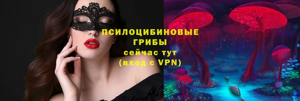 дмт Армянск