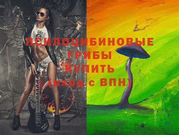 дмт Армянск