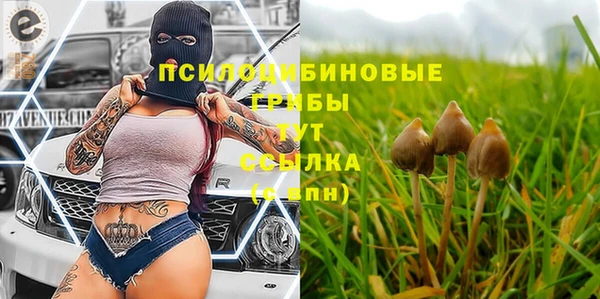 дмт Армянск
