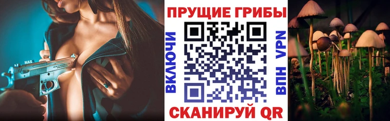 кракен ССЫЛКА  Барабинск  Псилоцибиновые грибы прущие грибы 